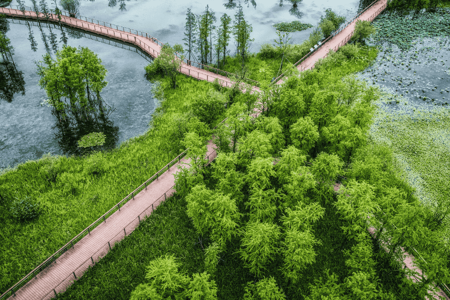 Park brug water bomen