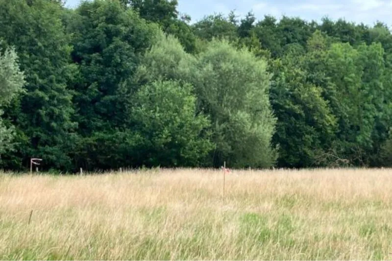 sknl-natuurontwikkeling-weiland-limburg