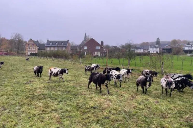 sknl-resultaat-natuurontwikkeling