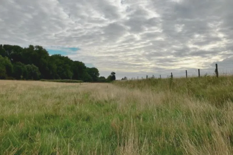 sknl-struweelhaag-inheemse-soorten