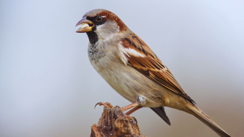 ecologische quickscan