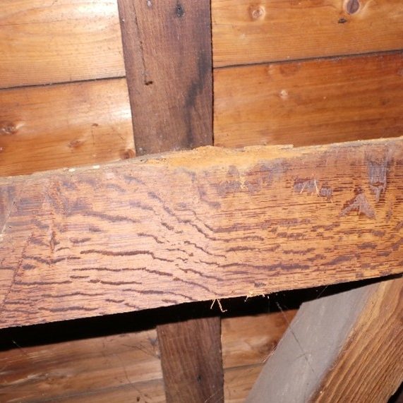 Vermolmd_hout_Monument