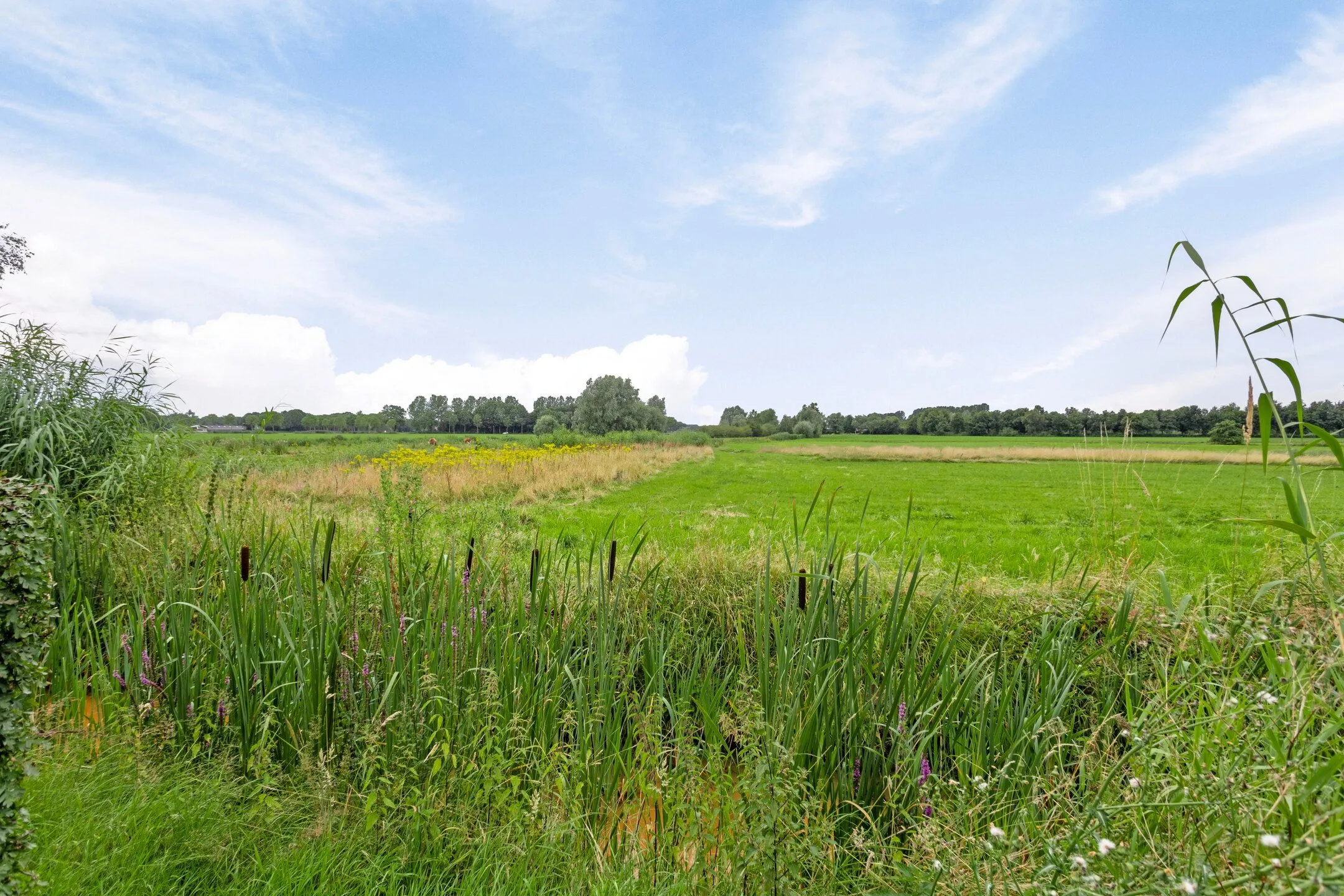 Header_Landgoed_Rendabele_optie_stoppers_regeling