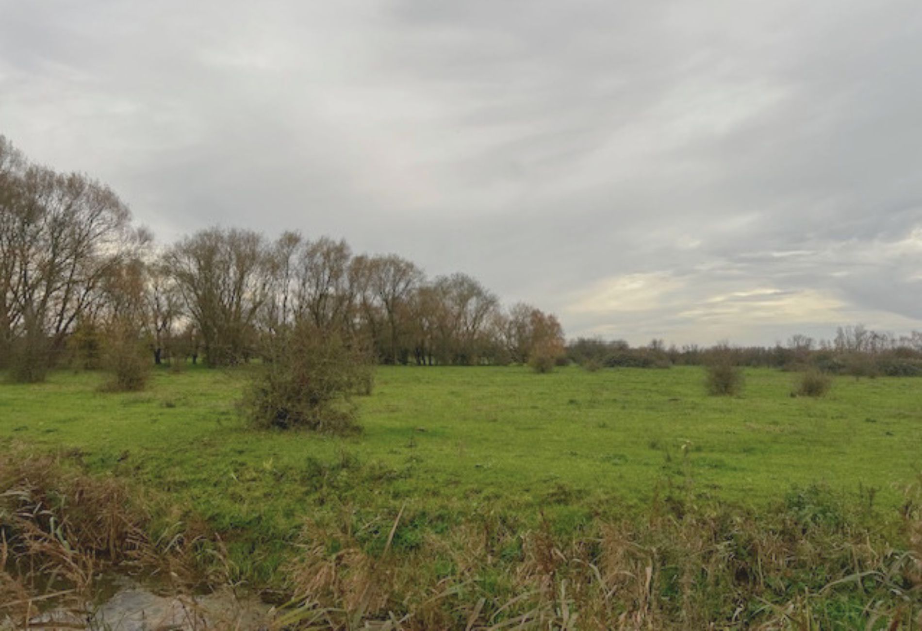 Header_SBNL_1900x1300