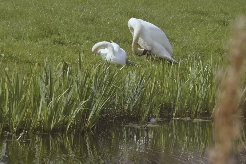 duurzaam-pacht-beheer