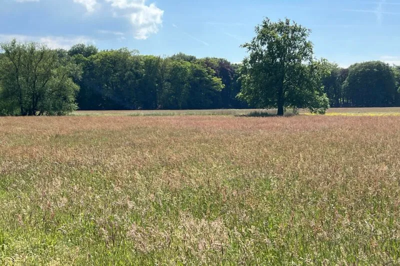 voordelen-ecologische-pachtgrond-800x533